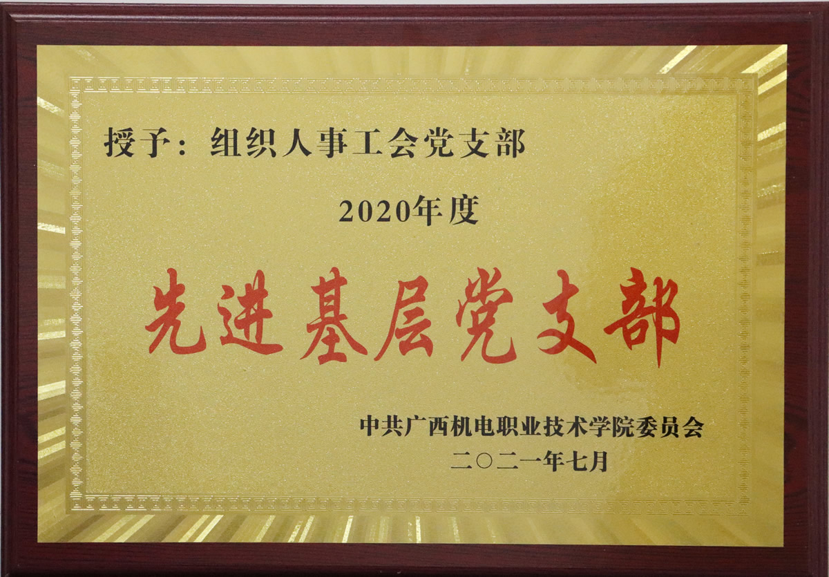 2020年度先进基层党支部