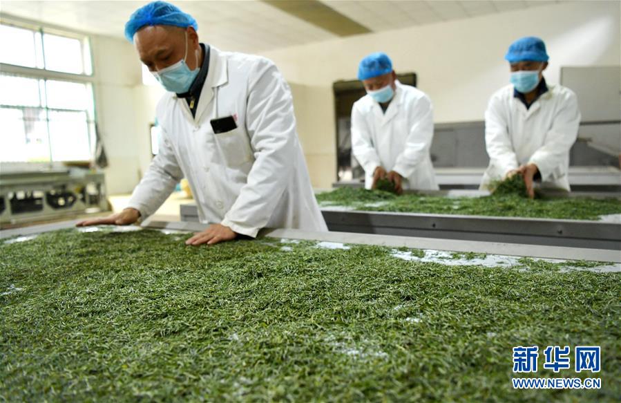 (新华全媒头条·图文互动)(22)从人民中汲取磅礴力量——习近平总书记同出席2020年全国两会人大代表、政协委员共商国是纪实