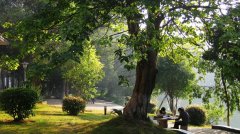 /sbglc/info/1008/1005.html